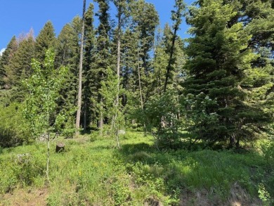 Beautiful Timbered lot 4.1 acre wooded parcel that offers a on Osprey Meadows at Tamarack Resort in Idaho - for sale on GolfHomes.com, golf home, golf lot