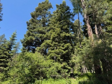 Beautiful Timbered lot 4.1 acre wooded parcel that offers a on Osprey Meadows at Tamarack Resort in Idaho - for sale on GolfHomes.com, golf home, golf lot