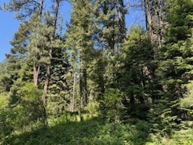 Beautiful Timbered lot 4.1 acre wooded parcel that offers a on Osprey Meadows at Tamarack Resort in Idaho - for sale on GolfHomes.com, golf home, golf lot