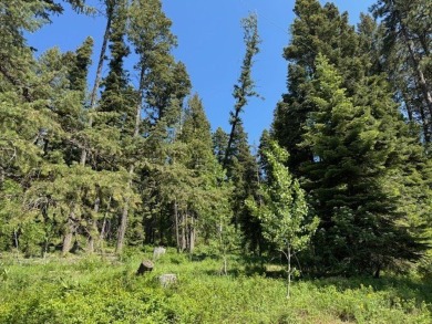Beautiful Timbered lot 4.1 acre wooded parcel that offers a on Osprey Meadows at Tamarack Resort in Idaho - for sale on GolfHomes.com, golf home, golf lot