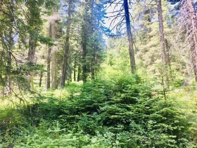 Beautiful Timbered lot 4.1 acre wooded parcel that offers a on Osprey Meadows at Tamarack Resort in Idaho - for sale on GolfHomes.com, golf home, golf lot