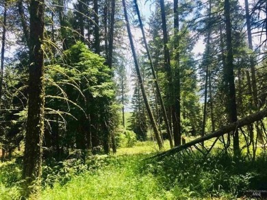 Beautiful Timbered lot 4.1 acre wooded parcel that offers a on Osprey Meadows at Tamarack Resort in Idaho - for sale on GolfHomes.com, golf home, golf lot