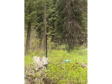 Beautiful Timbered lot 4.1 acre wooded parcel that offers a on Osprey Meadows at Tamarack Resort in Idaho - for sale on GolfHomes.com, golf home, golf lot