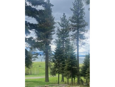 Beautiful Timbered lot 4.1 acre wooded parcel that offers a on Osprey Meadows at Tamarack Resort in Idaho - for sale on GolfHomes.com, golf home, golf lot
