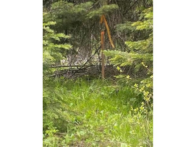 Beautiful Timbered lot 4.1 acre wooded parcel that offers a on Osprey Meadows at Tamarack Resort in Idaho - for sale on GolfHomes.com, golf home, golf lot