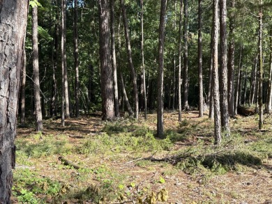 Exceptional Golf Course Lot with Prime Views in Savannah Lakes on Monticello Golf Club At Savannah Lakes in South Carolina - for sale on GolfHomes.com, golf home, golf lot