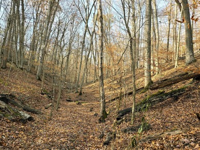 Very secluded 1.5 acre lot on 3 wooded parcels in Hide-A-Way on Hide-A-Way Hills Golf Club in Ohio - for sale on GolfHomes.com, golf home, golf lot