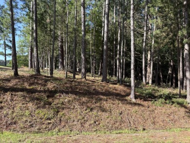 Exceptional Golf Course Lot with Prime Views in Savannah Lakes on Monticello Golf Club At Savannah Lakes in South Carolina - for sale on GolfHomes.com, golf home, golf lot