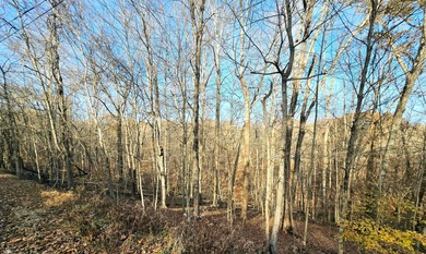 Very secluded 1.5 acre lot on 3 wooded parcels in Hide-A-Way on Hide-A-Way Hills Golf Club in Ohio - for sale on GolfHomes.com, golf home, golf lot