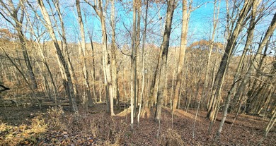 Very secluded 1.5 acre lot on 3 wooded parcels in Hide-A-Way on Hide-A-Way Hills Golf Club in Ohio - for sale on GolfHomes.com, golf home, golf lot