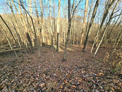 Very secluded 1.5 acre lot on 3 wooded parcels in Hide-A-Way on Hide-A-Way Hills Golf Club in Ohio - for sale on GolfHomes.com, golf home, golf lot