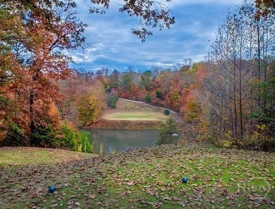 This lot is an ideal setting for your dream home. Nestled in the on The Trail At Chickasaw Pointe in South Carolina - for sale on GolfHomes.com, golf home, golf lot