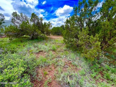 This White Mountain Lakes lot has power and water available on Silver Creek Golf Club in Arizona - for sale on GolfHomes.com, golf home, golf lot