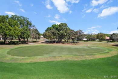 Experience the best of golf course living in this beautifully on Skyview At Terra Vista Golf and Country Club in Florida - for sale on GolfHomes.com, golf home, golf lot