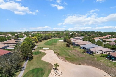 Experience the best of golf course living in this beautifully on Skyview At Terra Vista Golf and Country Club in Florida - for sale on GolfHomes.com, golf home, golf lot