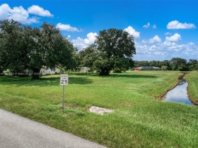 Welcome to Spring Lake, one of Highlands County's most charming on Spring Lake Golf Resort in Florida - for sale on GolfHomes.com, golf home, golf lot