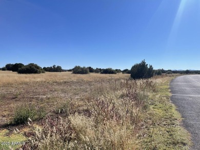 Big corner lot (.43 acres) on a fully paved and maintained on Silver Creek Golf Club in Arizona - for sale on GolfHomes.com, golf home, golf lot