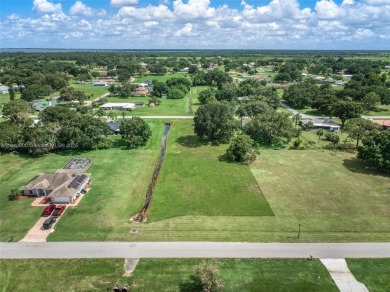 Welcome to Spring Lake, one of Highlands County's most charming on Spring Lake Golf Resort in Florida - for sale on GolfHomes.com, golf home, golf lot