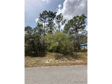 Build Your Dream Home on a Prime .38-Acre Corner Lot in Sugar on Sugarmill Woods Golf and Country Club in Florida - for sale on GolfHomes.com, golf home, golf lot
