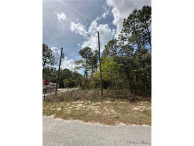 Build Your Dream Home on a Prime .38-Acre Corner Lot in Sugar on Sugarmill Woods Golf and Country Club in Florida - for sale on GolfHomes.com, golf home, golf lot