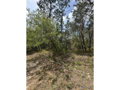 Build Your Dream Home on a Prime .38-Acre Corner Lot in Sugar on Sugarmill Woods Golf and Country Club in Florida - for sale on GolfHomes.com, golf home, golf lot
