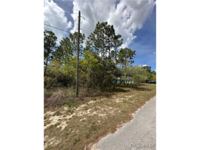 Build Your Dream Home on a Prime .38-Acre Corner Lot in Sugar on Sugarmill Woods Golf and Country Club in Florida - for sale on GolfHomes.com, golf home, golf lot