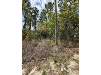Build Your Dream Home on a Prime .38-Acre Corner Lot in Sugar on Sugarmill Woods Golf and Country Club in Florida - for sale on GolfHomes.com, golf home, golf lot