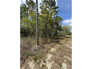 Build Your Dream Home on a Prime .38-Acre Corner Lot in Sugar on Sugarmill Woods Golf and Country Club in Florida - for sale on GolfHomes.com, golf home, golf lot
