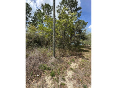 Build Your Dream Home on a Prime .38-Acre Corner Lot in Sugar on Sugarmill Woods Golf and Country Club in Florida - for sale on GolfHomes.com, golf home, golf lot