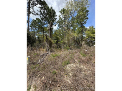 Build Your Dream Home on a Prime .38-Acre Corner Lot in Sugar on Sugarmill Woods Golf and Country Club in Florida - for sale on GolfHomes.com, golf home, golf lot
