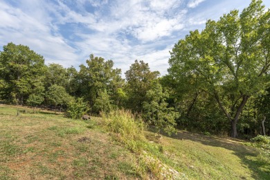 LAKE VIEW, LAKE VIEW. Yes this wonderful hilltop property boasts on Kimberling City Golf Club in Missouri - for sale on GolfHomes.com, golf home, golf lot