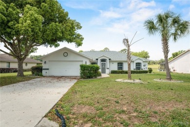 Very nice 4 bedroom, 2 bathroom pool house in Connell Lake on LakeSide Country Club in Florida - for sale on GolfHomes.com, golf home, golf lot