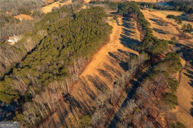 **Exclusive New Construction Opportunity in Hawks Ridge** on Hawks Ridge Golf Club in Georgia - for sale on GolfHomes.com, golf home, golf lot