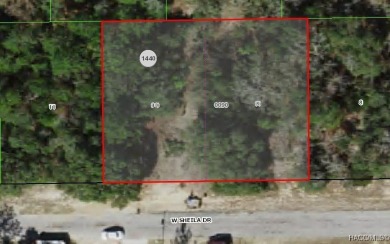 DOUBLE LOT (2 quarter acre parcels for $22,000 each) in Citrus on Pine Ridge Community Golf and Country Club in Florida - for sale on GolfHomes.com, golf home, golf lot