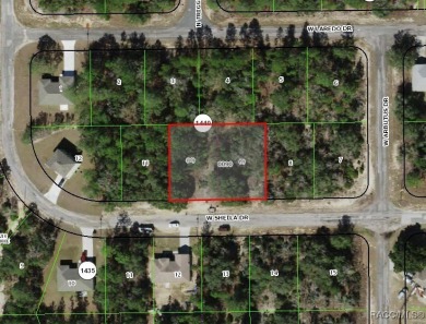 DOUBLE LOT (2 quarter acre parcels for $22,000 each) in Citrus on Pine Ridge Community Golf and Country Club in Florida - for sale on GolfHomes.com, golf home, golf lot