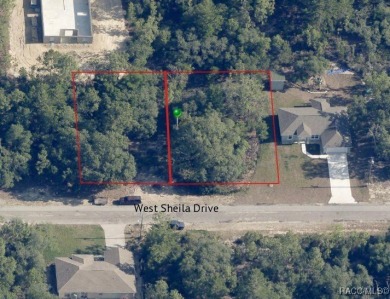 DOUBLE LOT (2 quarter acre parcels for $22,000 each) in Citrus on Pine Ridge Community Golf and Country Club in Florida - for sale on GolfHomes.com, golf home, golf lot