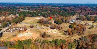 This charming 5.48-acre interior estate lot is situated in the on Trophy Club of Atlanta in Georgia - for sale on GolfHomes.com, golf home, golf lot