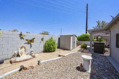 Charming 2BR, 2BA home in the very active adult community of Sun on Sun Lakes Country Club in Arizona - for sale on GolfHomes.com, golf home, golf lot
