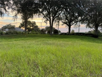 Prime Vacant Lot! Nestled at the end of a quiet cul-de-sac in on Twisted Oaks Golf Club in Florida - for sale on GolfHomes.com, golf home, golf lot