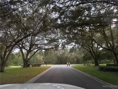 Prime Vacant Lot! Nestled at the end of a quiet cul-de-sac in on Twisted Oaks Golf Club in Florida - for sale on GolfHomes.com, golf home, golf lot