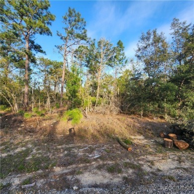 Discover the perfect canvas for your dream home at 6673 N. Libby on Pine Ridge Community Golf and Country Club in Florida - for sale on GolfHomes.com, golf home, golf lot