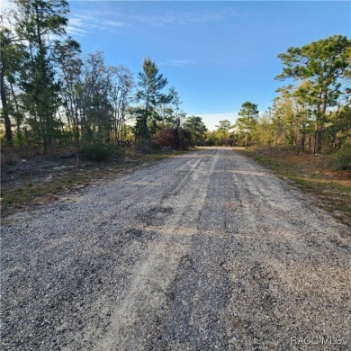 Discover the perfect canvas for your dream home at 6673 N. Libby on Pine Ridge Community Golf and Country Club in Florida - for sale on GolfHomes.com, golf home, golf lot