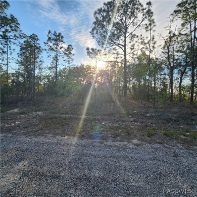 Discover the perfect canvas for your dream home at 6673 N. Libby on Pine Ridge Community Golf and Country Club in Florida - for sale on GolfHomes.com, golf home, golf lot