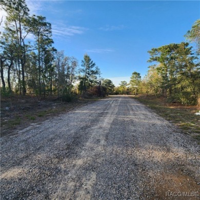 Discover the perfect canvas for your dream home at 6673 N. Libby on Pine Ridge Community Golf and Country Club in Florida - for sale on GolfHomes.com, golf home, golf lot