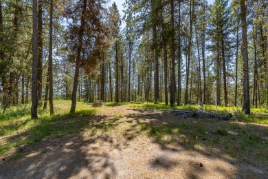 Rarely Available View Lot on Huckleberry Place! Don't miss this on Jug Mountain Ranch Golf Course in Idaho - for sale on GolfHomes.com, golf home, golf lot