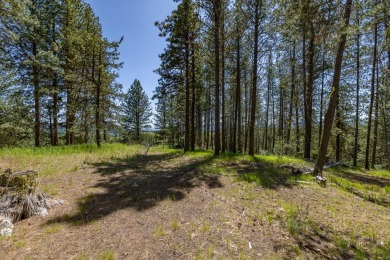 Rarely Available View Lot on Huckleberry Place! Don't miss this on Jug Mountain Ranch Golf Course in Idaho - for sale on GolfHomes.com, golf home, golf lot