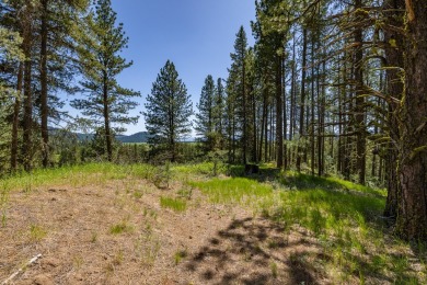 Rarely Available View Lot on Huckleberry Place! Don't miss this on Jug Mountain Ranch Golf Course in Idaho - for sale on GolfHomes.com, golf home, golf lot