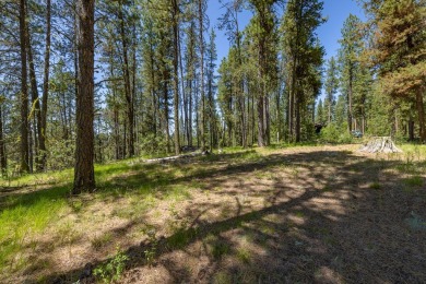 Rarely Available View Lot on Huckleberry Place! Don't miss this on Jug Mountain Ranch Golf Course in Idaho - for sale on GolfHomes.com, golf home, golf lot