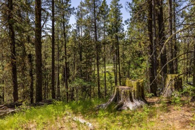 Rarely Available View Lot on Huckleberry Place! Don't miss this on Jug Mountain Ranch Golf Course in Idaho - for sale on GolfHomes.com, golf home, golf lot