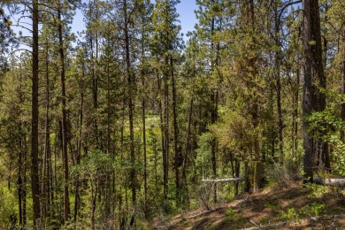 Rarely Available View Lot on Huckleberry Place! Don't miss this on Jug Mountain Ranch Golf Course in Idaho - for sale on GolfHomes.com, golf home, golf lot